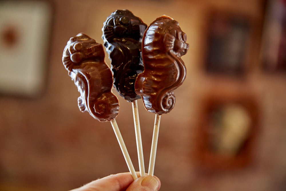 3 chocolate pops in the shape of a seahorse, blurred background of framed pictures on shop brick wall